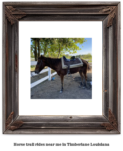 horse trail rides near me in Timberlane, Louisiana